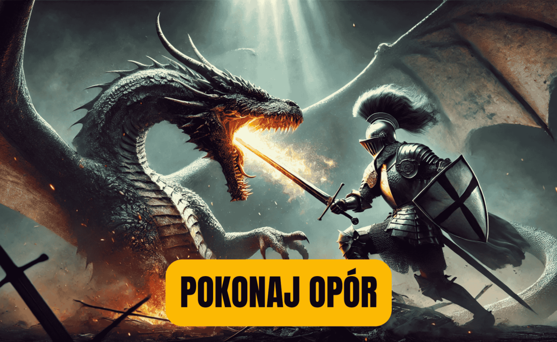 Realizacja wizji firmy.